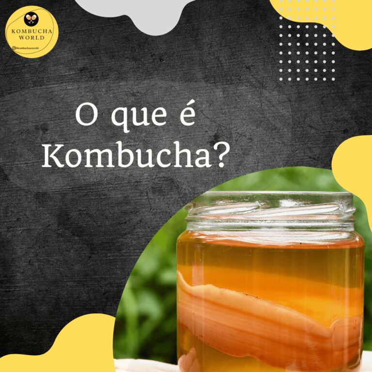 o-que-e-kombucha-img