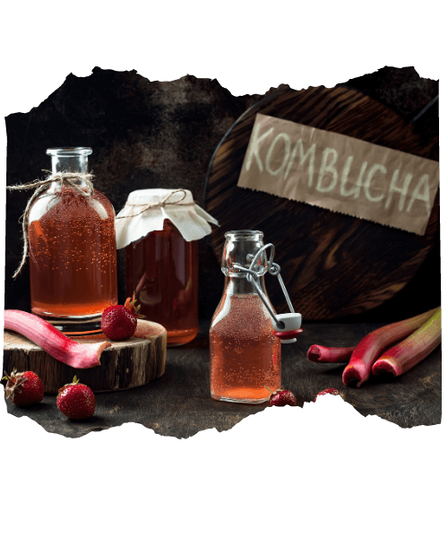 kombucha-origem